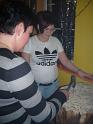 Bilder Schnapsen 067